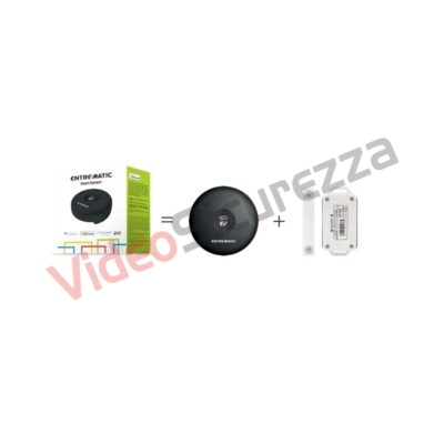 Entrematic Smart Connect per cancelli ESCWM